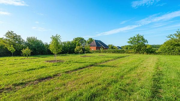 Снижение (оспаривание) кадастровой стоимости земельного участка через смену ВРИ