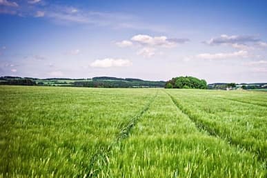 Оспаривание кадастровой стоимости земельных участков